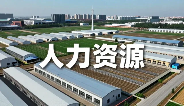 陕西欣悦人力资源服务有限公司提供可靠化方案支持